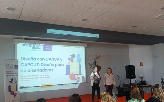 canva y capcut trebujena